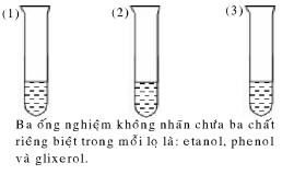 hinh-anh-bai-43-bai-thuc-hanh-5-tinh-chat-cua-etanol-glixerol-va-phenol-208-3