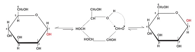 hinh-anh-chuong-ii-cacbohidrat-bai-5-glucozo-375-1