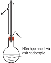 hinh-anh-bai-45-axit-cacboxylic-210-10