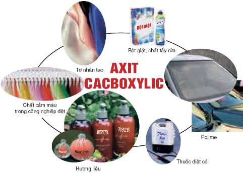 hinh-anh-bai-45-axit-cacboxylic-210-15