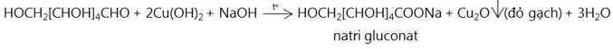 hinh-anh-chuong-2-cacbohidrat-217-2